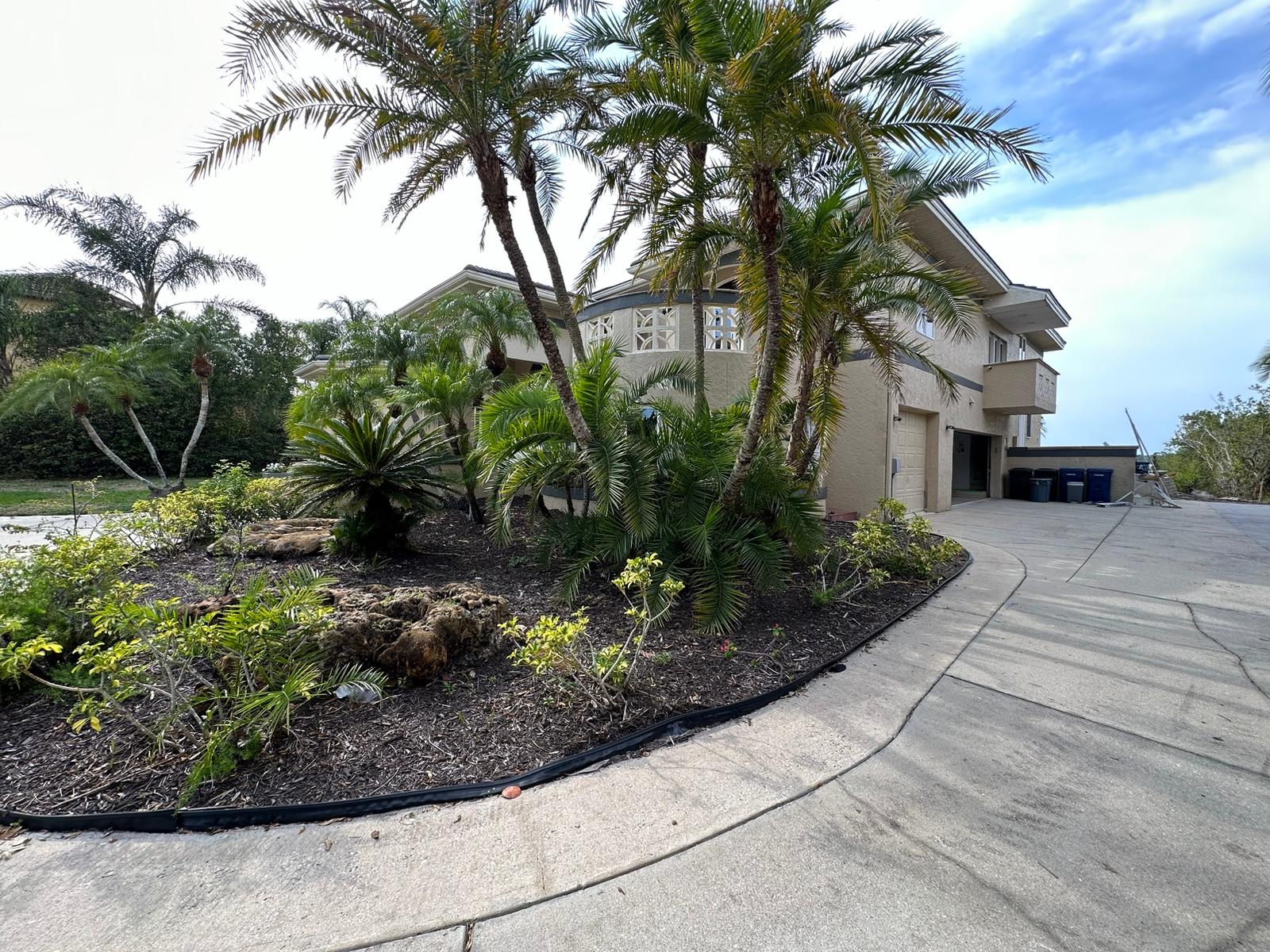Side elevation with overgrown palms and planting beds before cleanup
