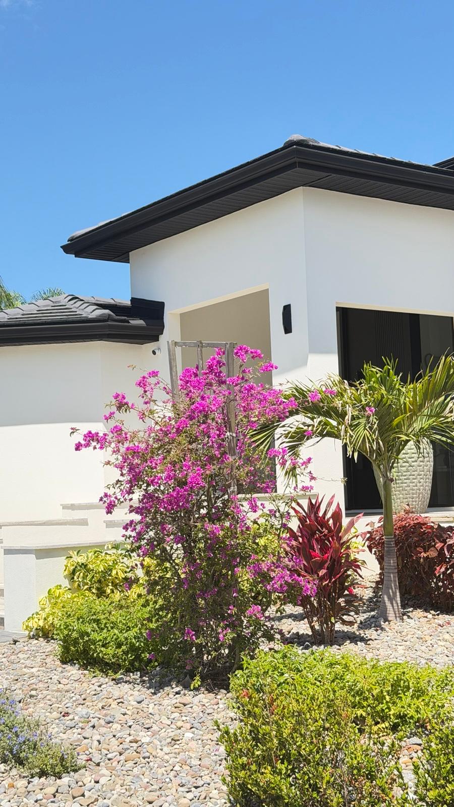 White stucco exterior corner with black fascia and fresh landscaping