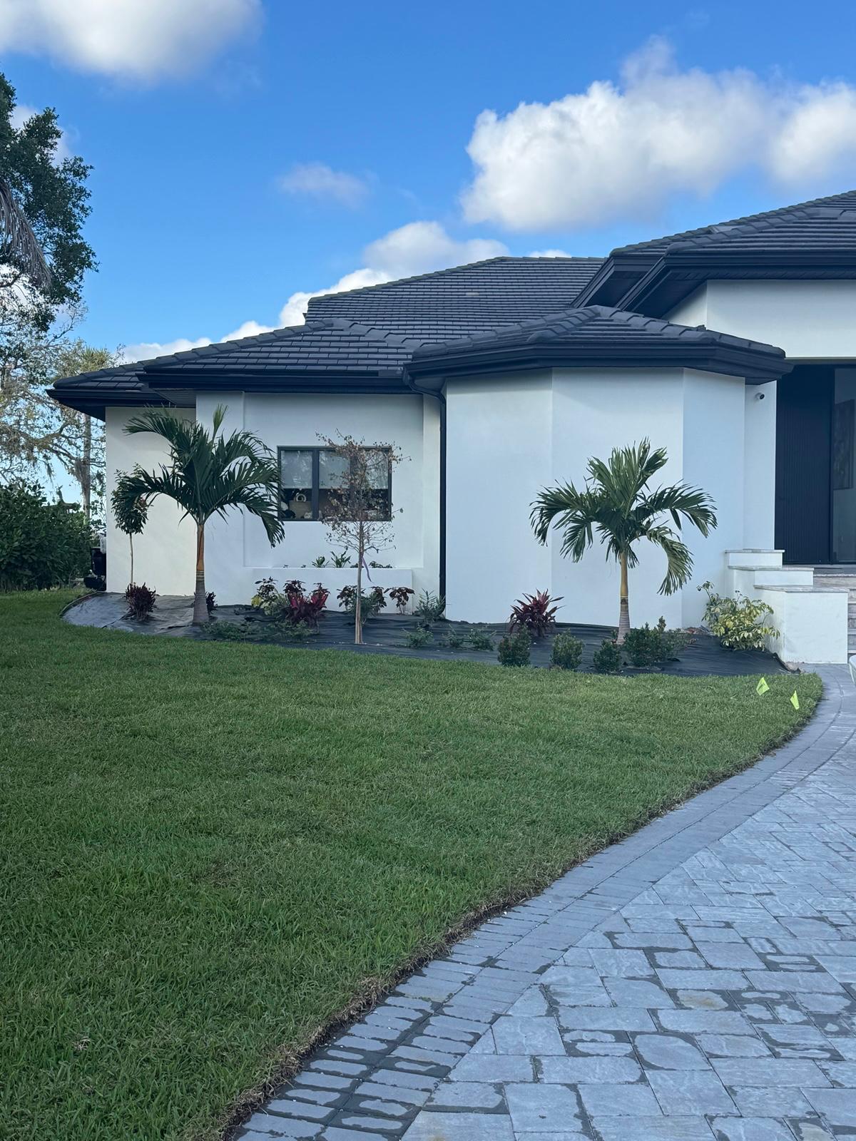 Side elevation with fresh palms, planting beds and paver path