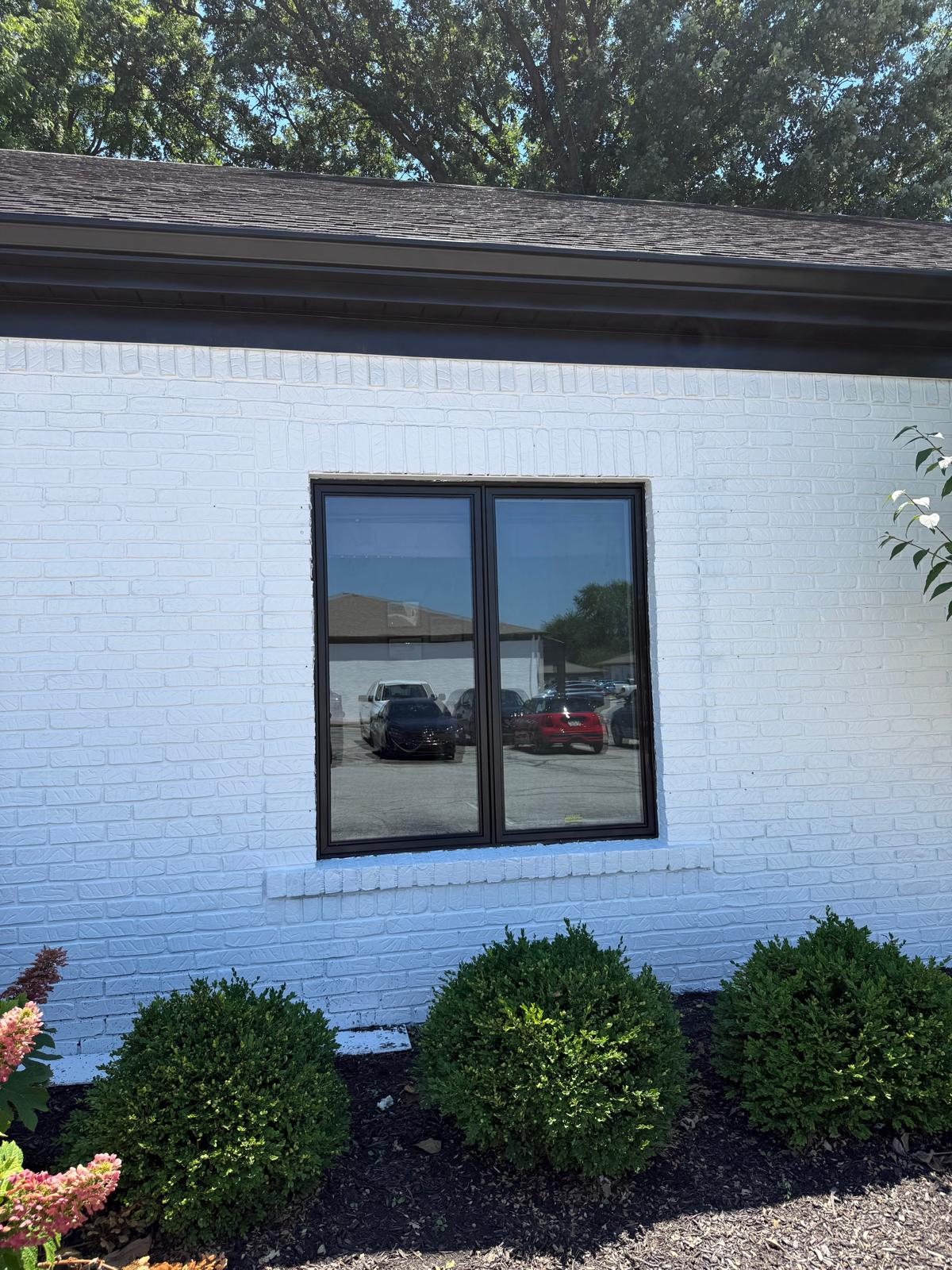 Close-up of painted white brick with dark framed window and landscaped shrubs